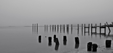 tyaskin, maryland, beach, fog, sea, ocean, pier, dock, shells, seashell, decay, nature, drift